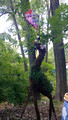 Green Bay Botanical Garden 22-7L-_0671