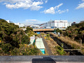 Tokyo Port Wild Bird Park Tokyo, Japan 22-12L-_3449