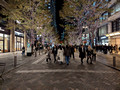 Marunouchi Street Park, Chiyoda City, Tokyo, Japan 24-12p-_1163