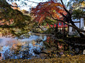 Inokashira Park, Mitaka, Tokyo, Japan 24-12L-_2839