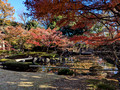 Otaguro Park, Suginami City, Tokyo,, Japan 24-12L-_2513