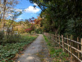 Tokyo Port Wild Bird Park Tokyo, Japan 22-12L-_3447