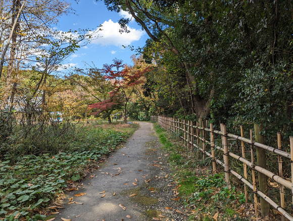 Tokyo Port Wild Bird Park Tokyo, Japan 22-12L-_3447