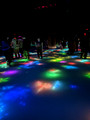 TeamLab Planets Immersion Tokyo,  Japan  22-12L-_3891
