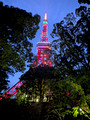 Tokyo Tower , Tokyo, Japan 25-5P-_0723