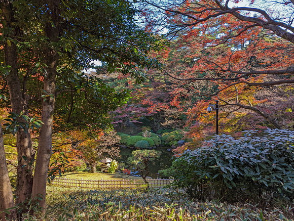 Institute for Nature Study Minato City Tokyo  22-12L-_4292