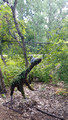 Green Bay Botanical Garden 22-7L-_0672