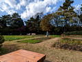 Tokyo Port Wild Bird Park Tokyo, Japan 22-12L-_3443