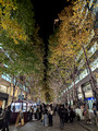 Marunouchi Street Park, Chiyoda City, Tokyo, Japan 24-12L-_3207