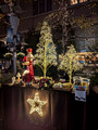 Marunouchi Street Park, Chiyoda City, Tokyo, Japan 24-12L-_3216