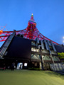 Tokyo Tower , Tokyo, Japan 25-5P-_0713