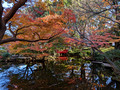 Hotel New Otani Japanese Garden Tokyo, Japan