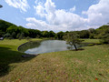 Rikugien Gardens Tokyo, Japan 25-5P-_0831
