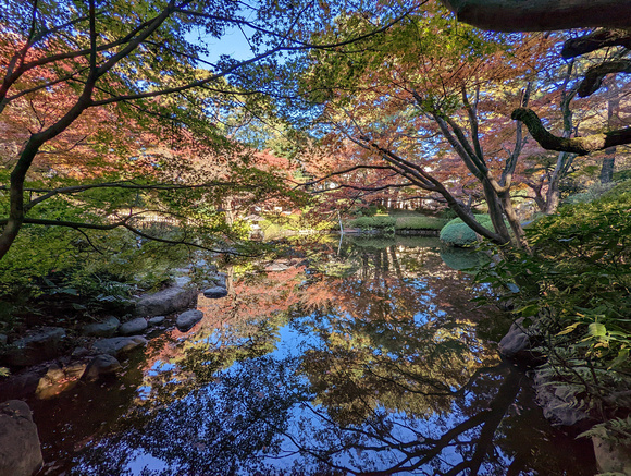 Institute for Nature Study Minato City Tokyo  22-12L-_4299