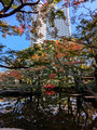 Hotel New Otani Tokyo Garden Tower,Chiyoda City, Tokyo, Japan 24-12p-_1012