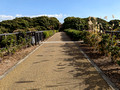 Tokyo Port Wild Bird Park Tokyo, Japan 22-12L-_3451