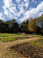 Tokyo Port Wild Bird Park Tokyo, Japan 22-12L-_3444