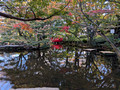Hotel New Otani Tokyo Garden Tower,Chiyoda City, Tokyo, Japan 24-12p-_1009