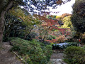 Ikedayama Park, Shinagawa City, Tokyo, Japan 24-12p-_1656