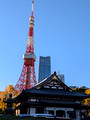 Buddhist temple, Minato City, Tokyo, Japan 24-12L-_2113