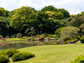 Rikugien Gardens Tokyo, Japan 25-5L-_2830