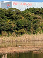 Tokyo Port Wild Bird Park Tokyo, Japan 22-12L-_3453