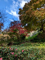 Engaku-ji Zen Buddhist Complex Kanagawa, Japan 22-12L-_4144