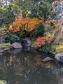 Hotel New Otani Japanese Garden 22-12L-_3182