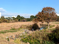 Tokyo Port Wild Bird Park Tokyo, Japan 22-12L-_3458