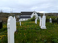 Brigus, Newfoundland 24-6L-_0407
