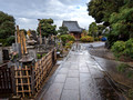 Enmei-in Temple Yanesen Tokyo, Japan 22-12L-_3627