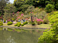 Rikugien Gardens Tokyo, Japan 25-5P-_0825