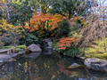 Hotel New Otani Japanese Garden 22-12L-_3184