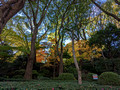 Hotel New Otani Japanese Garden 22-12L-_3173