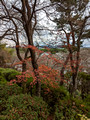 Tenryuji Temple Grounds Kyoto Japan 22-12L-_4524
