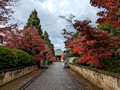 Enmei-in Temple Yanesen Tokyo, Japan 22-12L-_3634